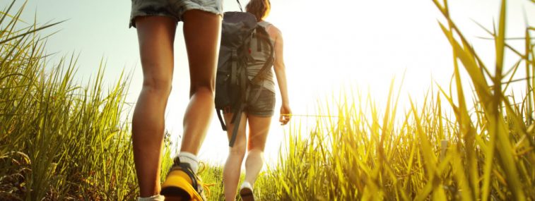 Two people walking on a trail in the grass.